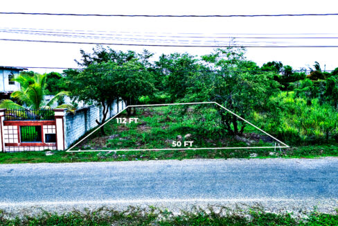DJI_0536