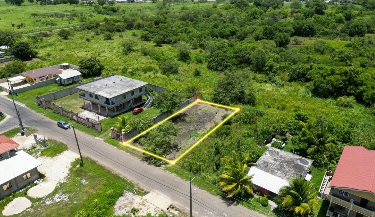 DJI_0620