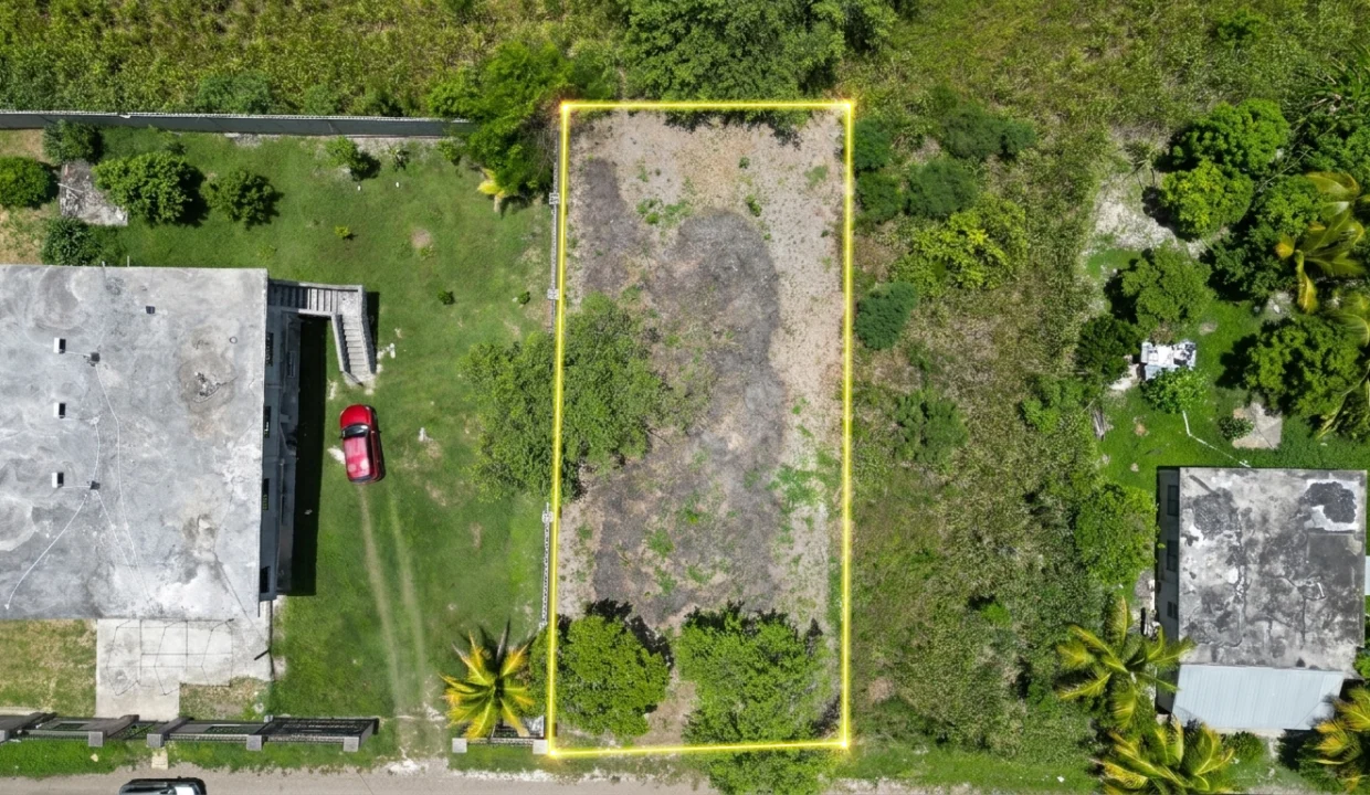 DJI_0646