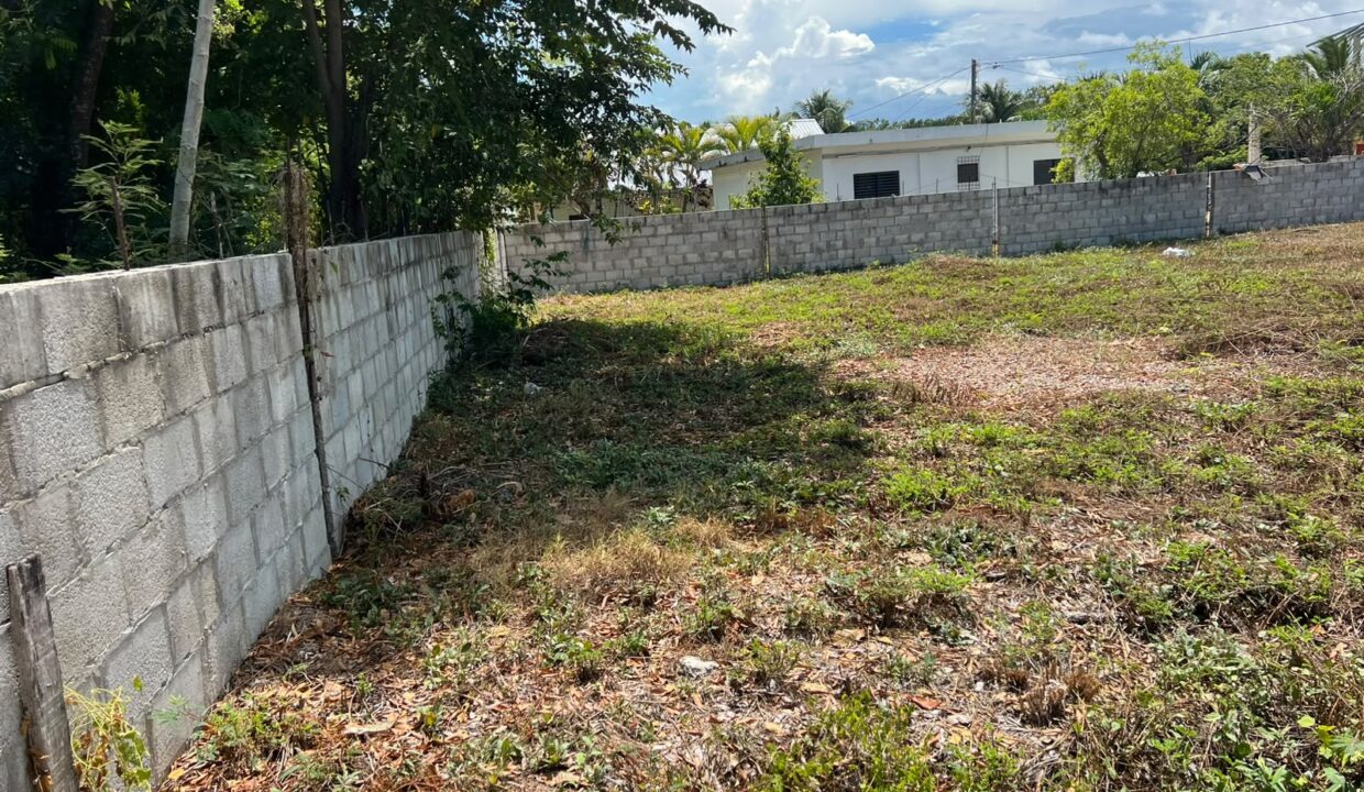 fence