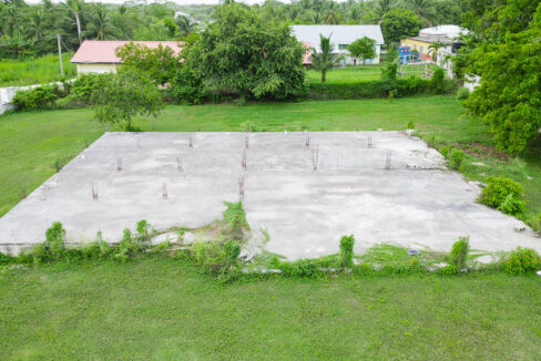 gal-13