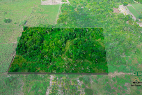 DJI_0951
