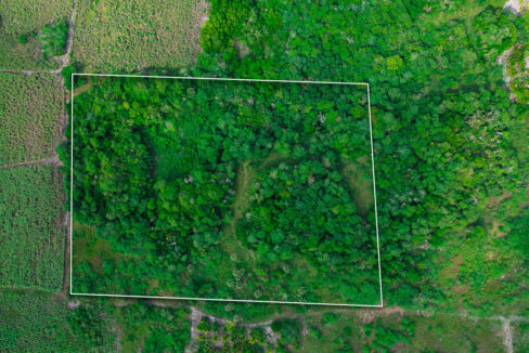 DJI_0952